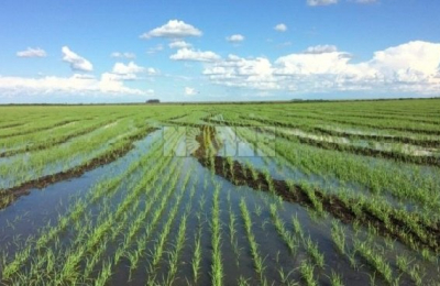 “Hay que buscar un equilibrio para vivir en armonía con la naturaleza”