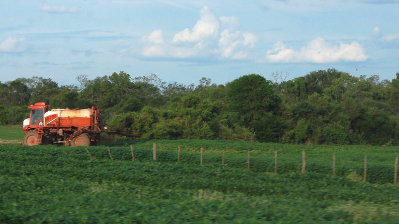 Apicultura: buscan organizar las herramientas tecnológicas para evitar daños por fumigaciones