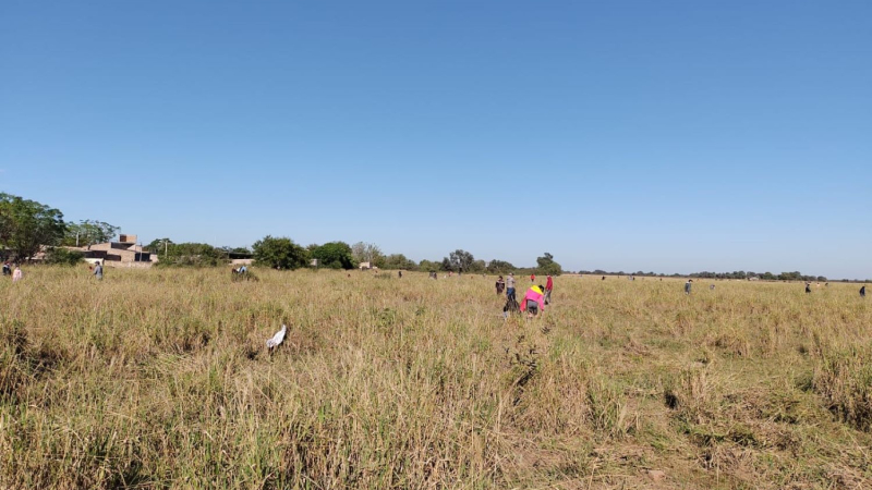 Usurpan terreno que el municipio había dado en comodato a productor en 2011