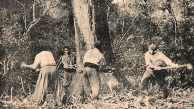 The Forestal en el territorio Indio; defensores y detractores
