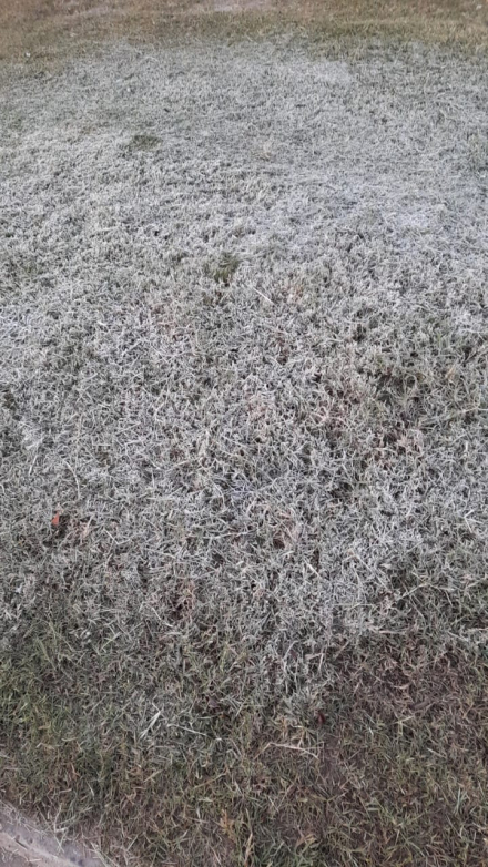 hielo sanmartin3.jpg
