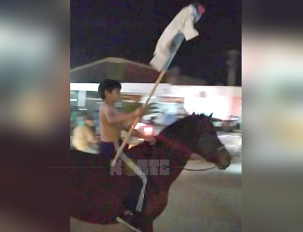 caballo.jpg
