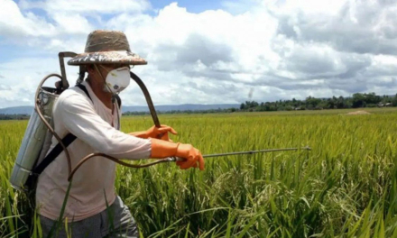 agrotóxicos1.jpg