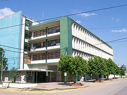 Foto4.jpg