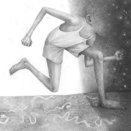 86-8-Donde sea - Stefan Zsaitsits.jpg