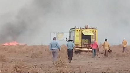 incendios.jpg