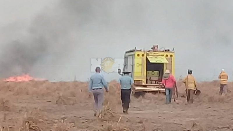 Arranca un trimestre con periodos calurosos y menos precipitaciones
