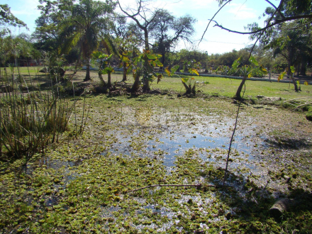 Granja La Josefina 6.JPG