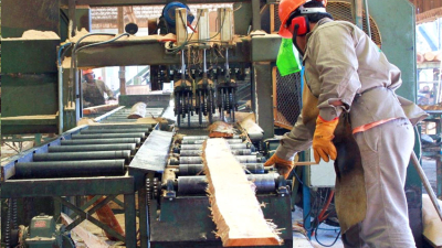 La foresto-industria se reúne en Los Frentones con legisladores de distintas bancadas políticas