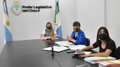 Por unanimidad en Diputados, crearán el Observatorio contra las Violencias de Género