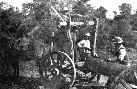 Aparejo rustico para cargar rollizos.jpg