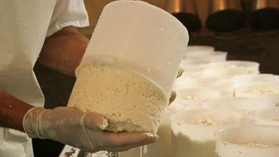 Proyecto de jóvenes de Taco Pozo para elaborar quesos y quesillos es elegido a nivel nacional