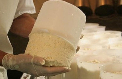 Proyecto de jóvenes de Taco Pozo para elaborar quesos y quesillos es elegido a nivel nacional 