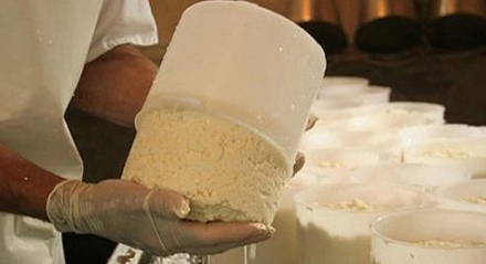 quesos-y-quesillos.jpg