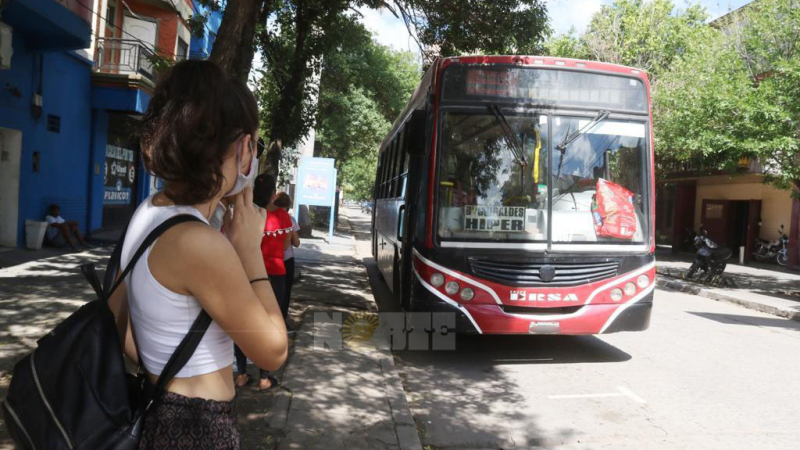 Colectivos y trenes gratuitos el domingo de elecciones