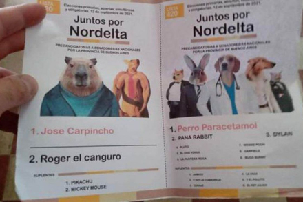 carpincho 3.jpeg