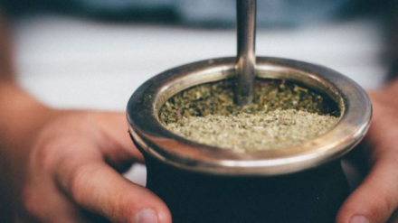 mate-yerba3jpg.jpg