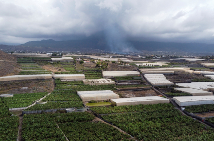 La palma 15.jpg