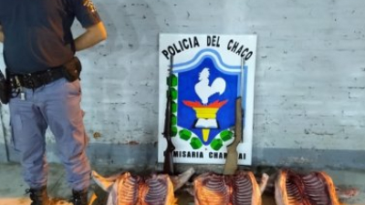 Interceptan cazadores furtivos en Charadai