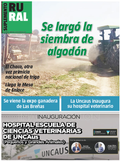 Se largó la siembra de algodón