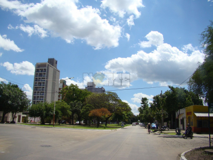 dia soleado.JPG