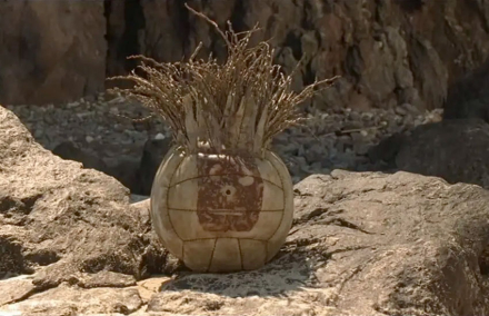 wilson.jpg