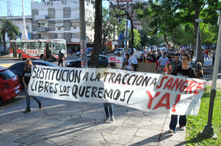 marcha5.jpg