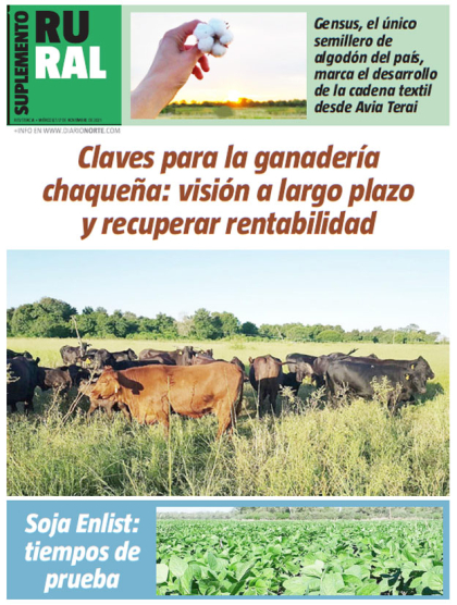 Claves para la ganadería chaqueña: visión a largo plazo y recuperar rentabilidad
