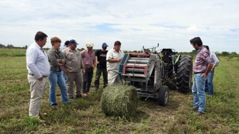 El Consejo Asesor del INTA Chaco-Formosa se reunió en la estación Agropecuaria Sáenz Peña