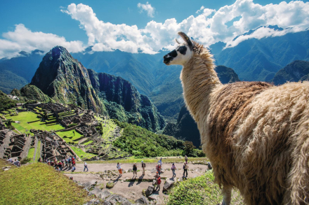 peru week2.jpg