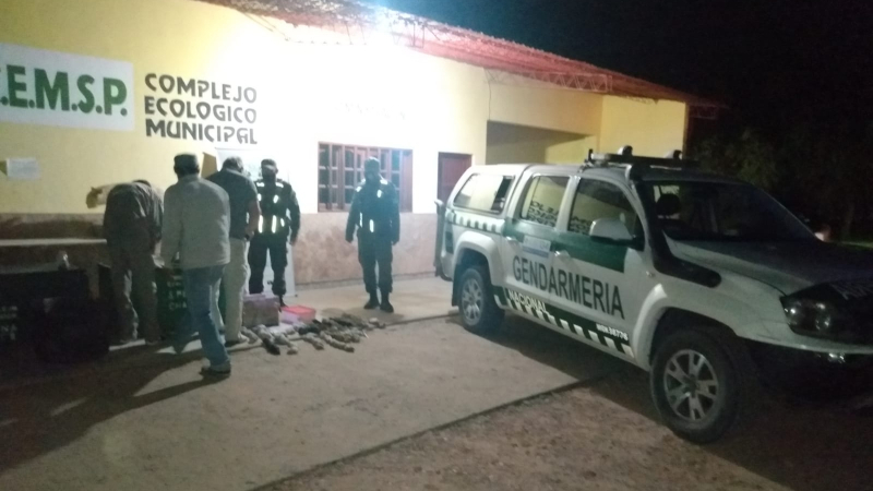 Villa Berthet: gendarmes rescatan animales silvestres en un control vial