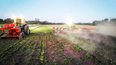 Alfalfa: en busca de la rentabilidad y el desarrollo