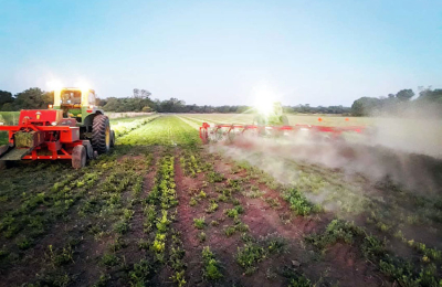Alfalfa: en busca de la rentabilidad y el desarrollo