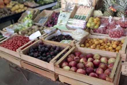 fruta.jpg