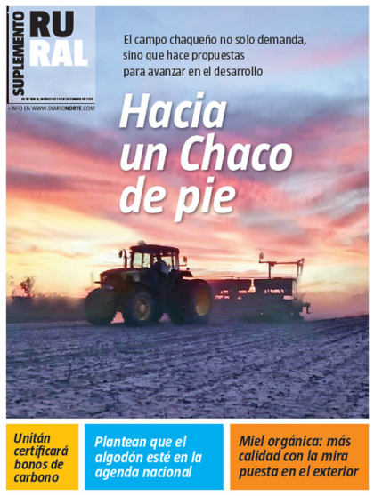 Hacia un Chaco de pie