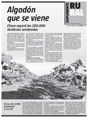 Algodón que se viene
