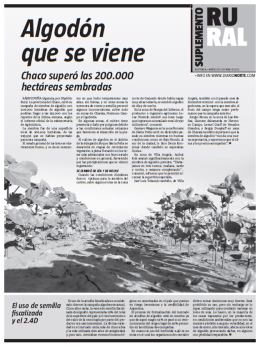 Algodón que se viene
