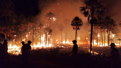 Unas 2500 hectáreas afectadas por un incendio forestal en una zona rural de Villa Angela