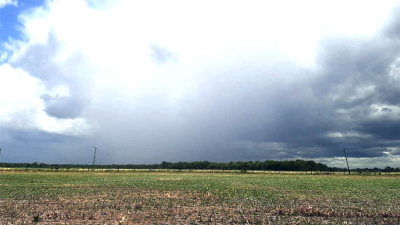 El clima le da un respiro al campo chaqueño