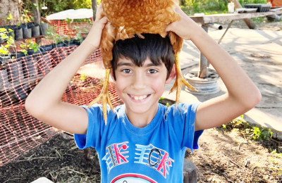Criar gallinas sin jaula y producir huevos ecológicos es posible