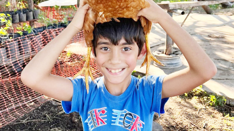 Criar gallinas sin jaula y producir huevos ecológicos es posible