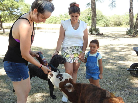San Rael en contacto con los animales 1.jpg