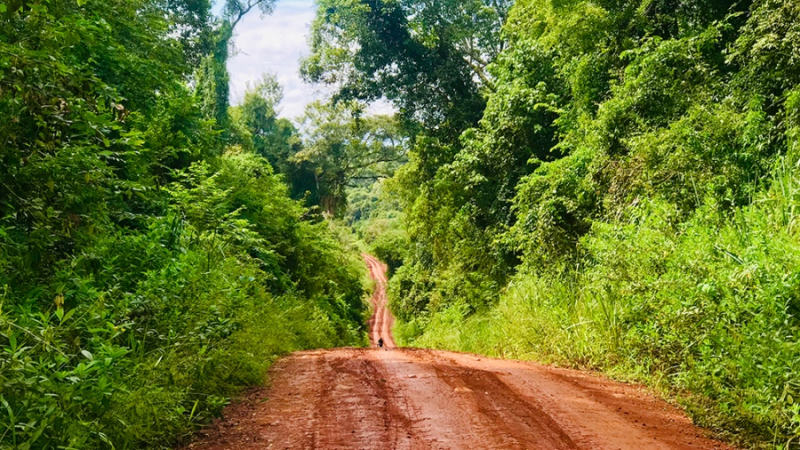 Quince comunidades mbya-guaraníes ofrecen experiencias turístico- culturales en Misiones 