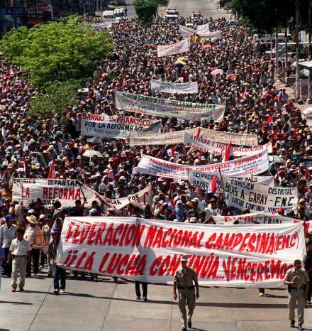 paraguay soja.jpg