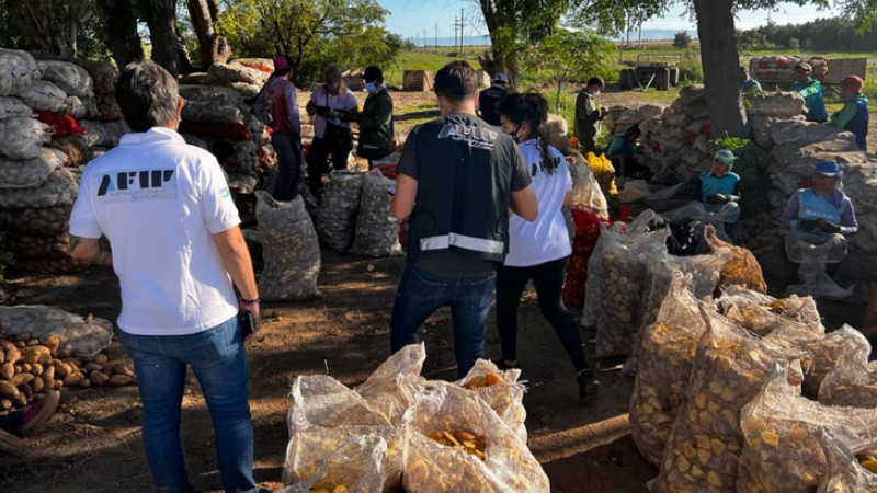 Detectan maniobras de evasión y explotación laboral en campos de Córdoba y San Luis