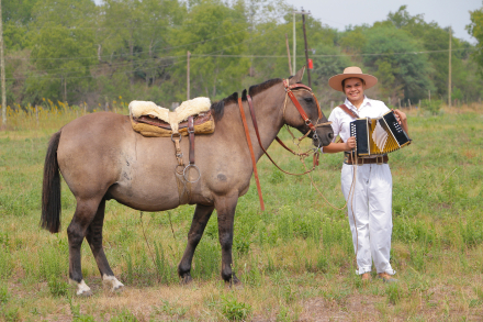caballo 6.jpg