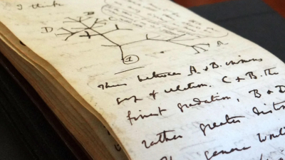 Un "regalo" inesperado y misterioso: reaparecieron los cuadernos de Darwin