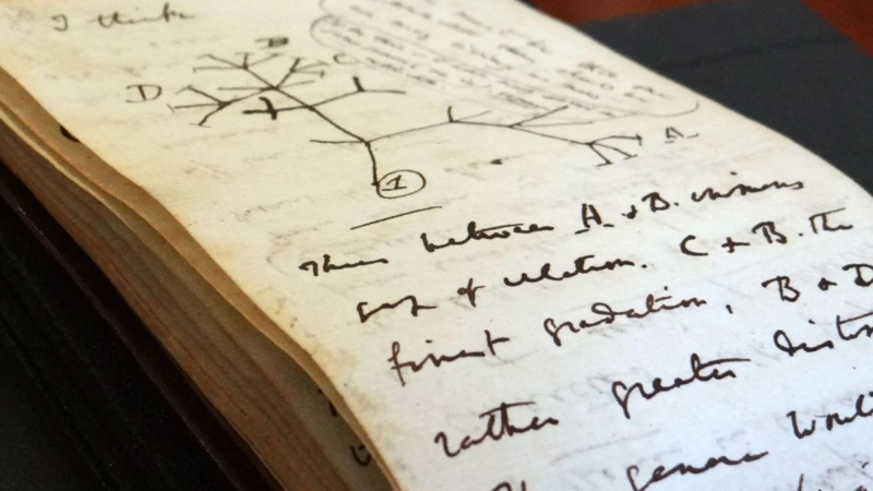 Un "regalo" inesperado y misterioso: reaparecieron los cuadernos de Darwin
