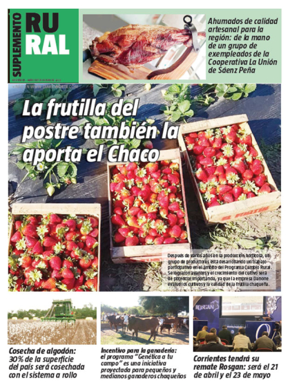 La frutilla del postre también la aporta el Chaco