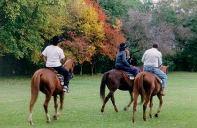 El turismo en el espacio rural es una estrategia de actuación para el desarrollo sostenible local